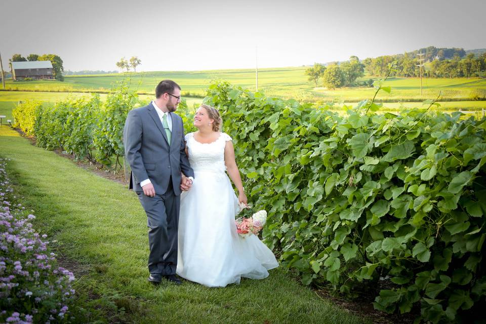 The Vineyard and Brewery at Hershey