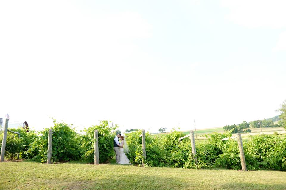 Couple's portrait