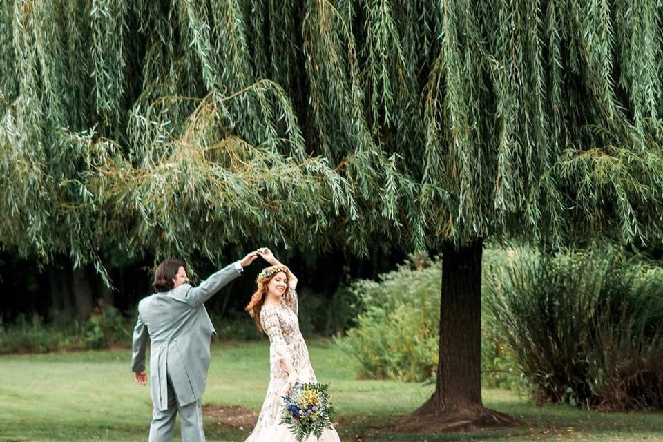 Dancing with the Willow