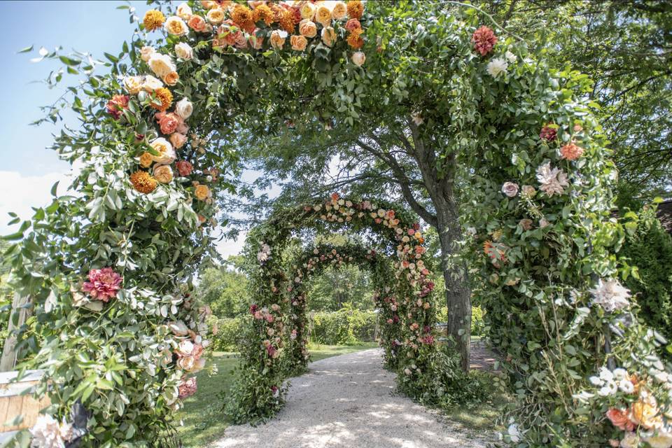 Gervasi Vineyard