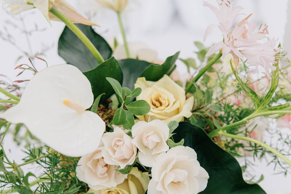 Susie Marie Photography