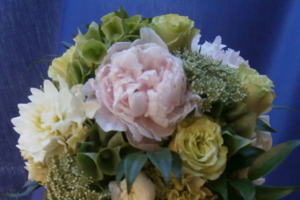 Bride's bouquet consisting of green roses, pink peonies, queen anne's lace, green hydrangea's, belle'ss of Ireland and Dahlias.