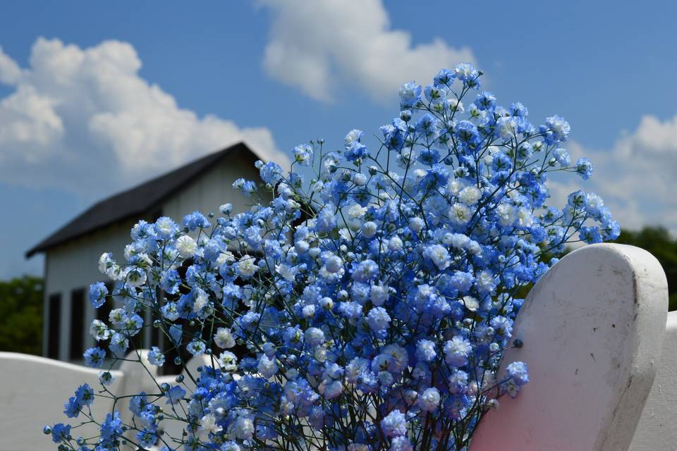 Wedding backdrop