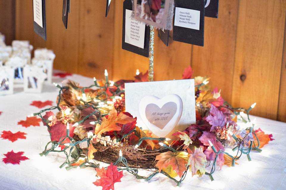 Bushveld Bridal Dreams