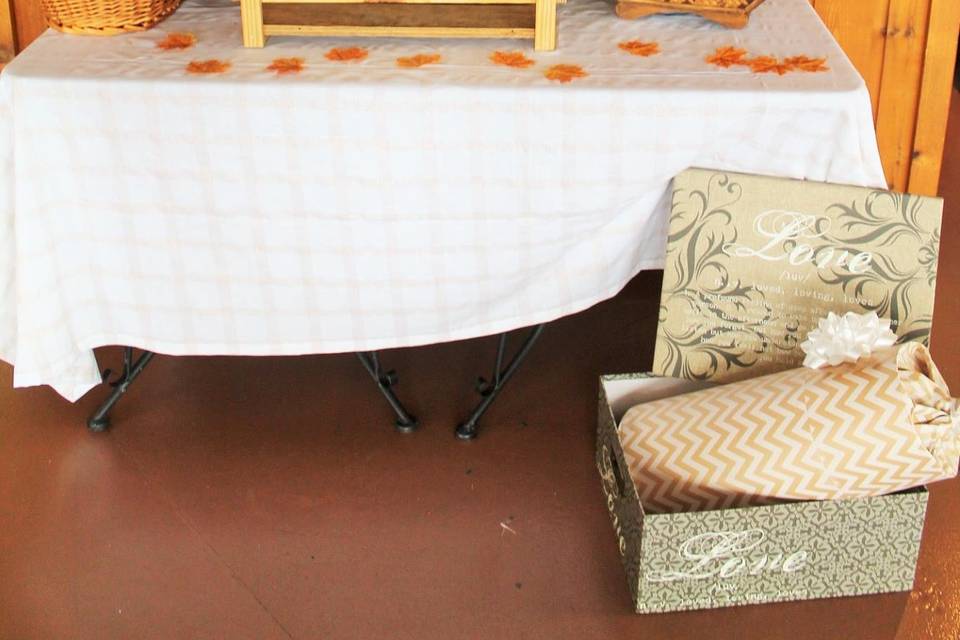 Bushveld Bridal Dreams