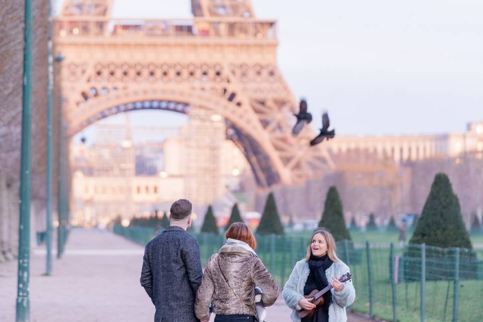 Proposal in Paris