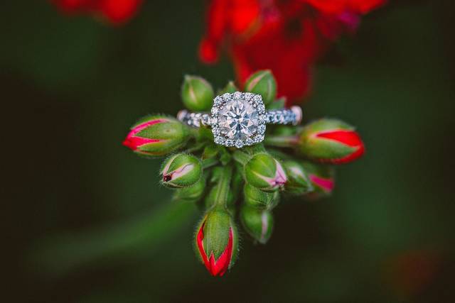 Carrie Kizuka Photography, LLC