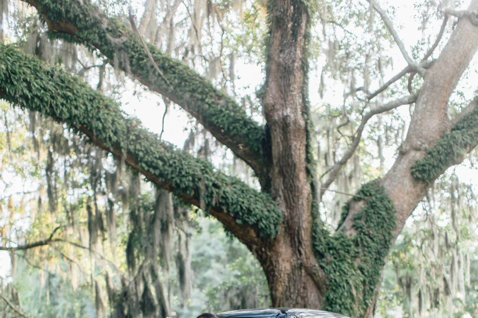 Charleston wedding