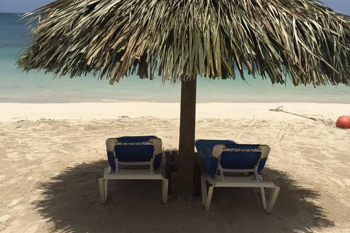 Suite Dreamz Travel