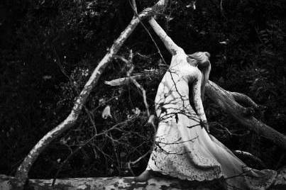 Tracie Taylor Photography