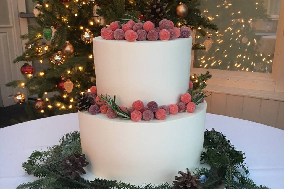 Christmas inspired Cake
