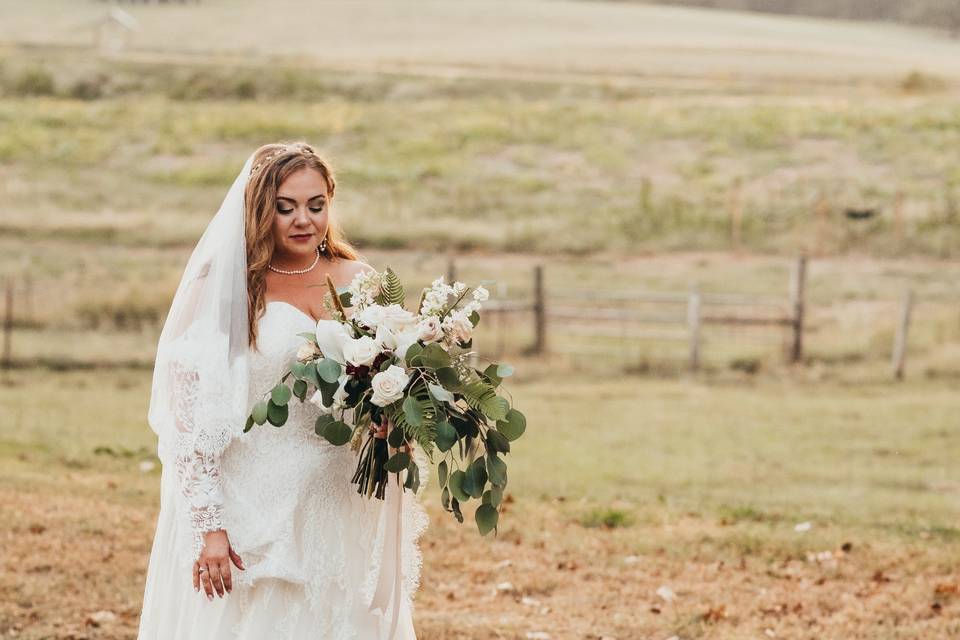 Bride, Dream Field Farms