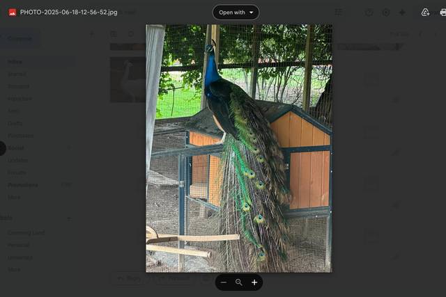 Nature at Yes 2 Farms