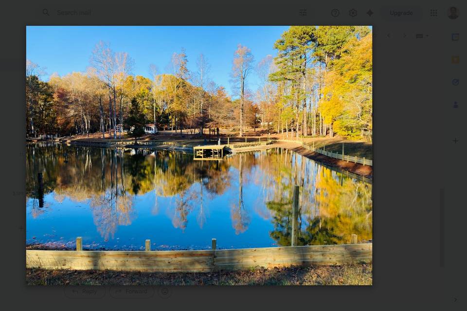Pond Picture
