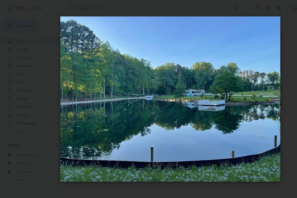 Pond Picture