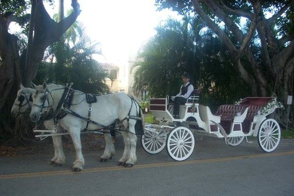Miami Carriages