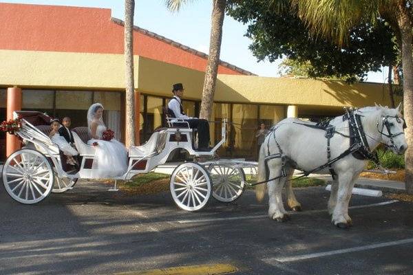 Miami Carriages