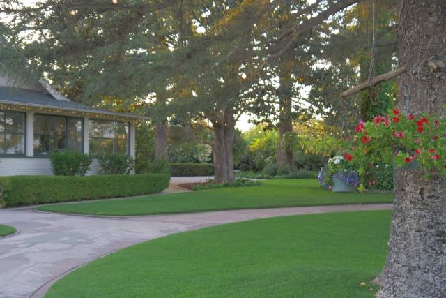McGrath Ranch & Garden