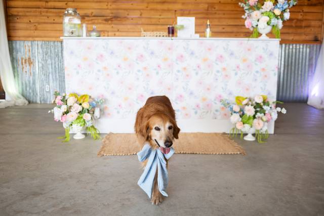 BellaDiaEventsStyledShoot2026-Pastels-8705.jpg