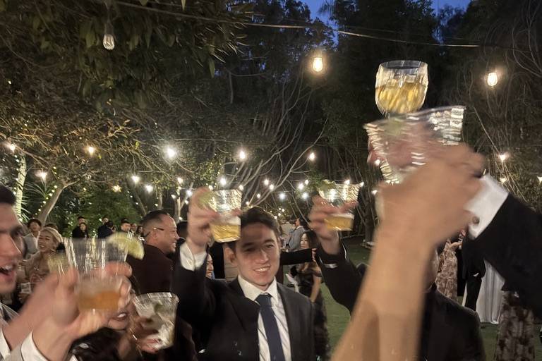 Guests celebration