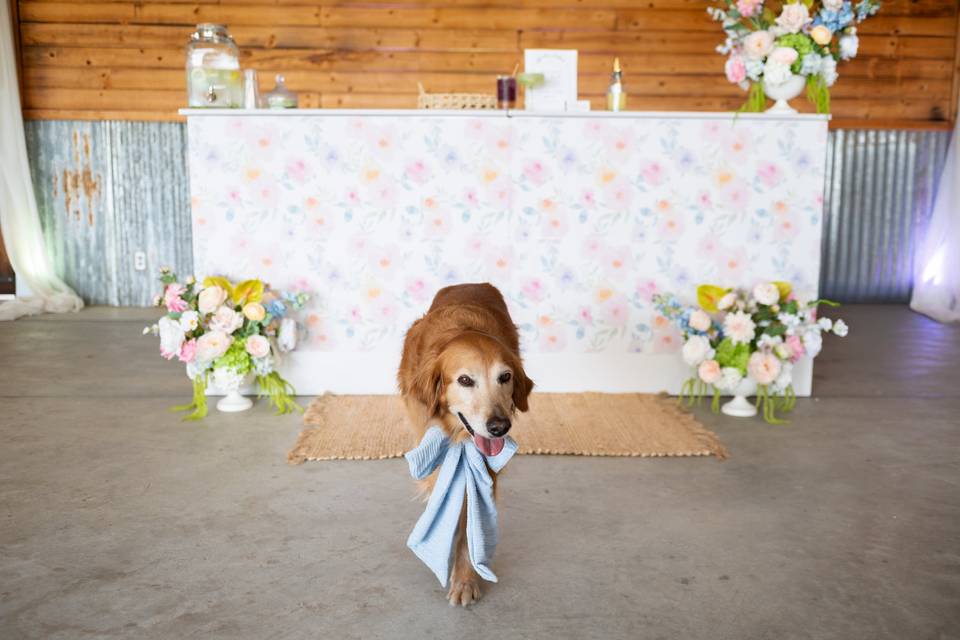 BellaDiaEventsStyledShoot2026-Pastels-8705.jpg