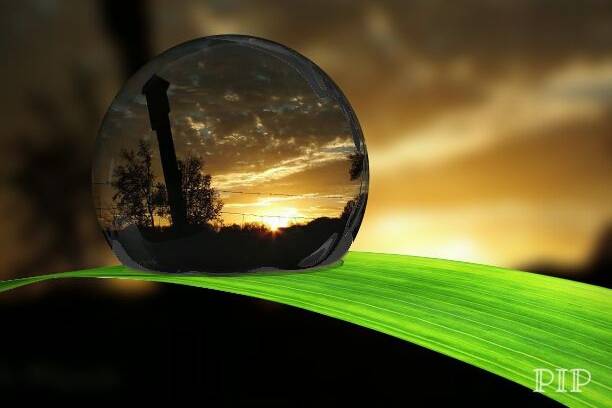 Just Jes Photography