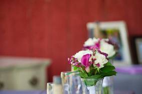 Love Me Knot Weddings