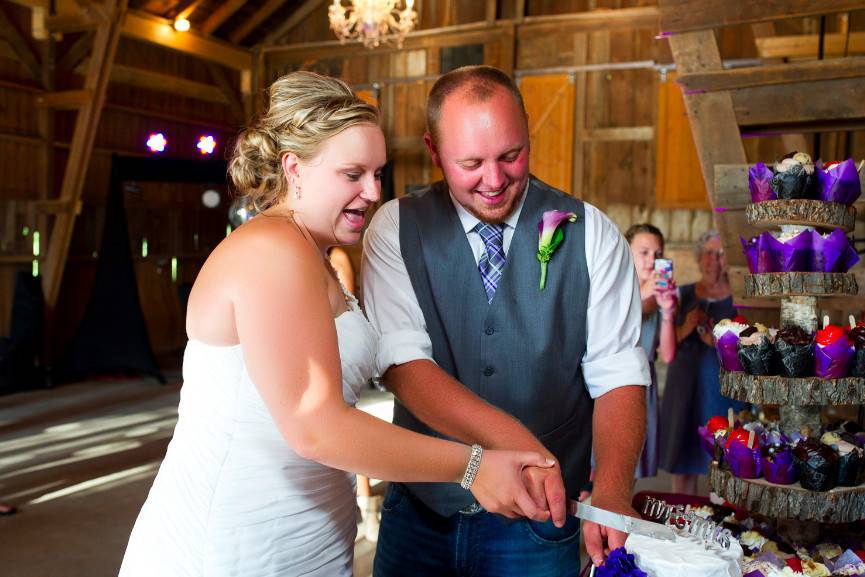 Couple cake cutting