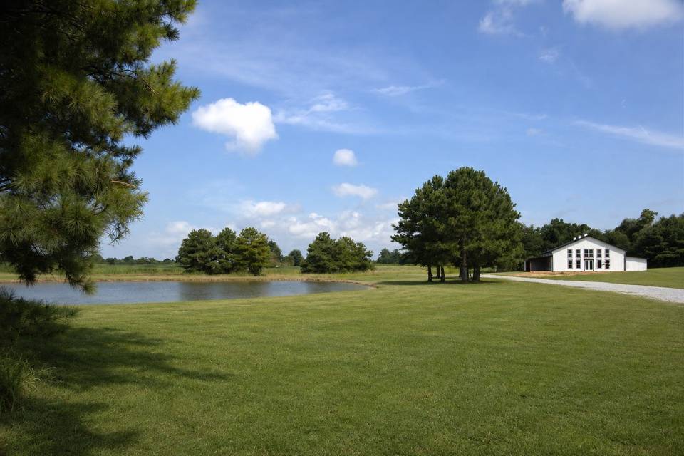 AI filled in grass