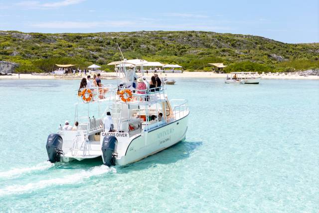 Island venue option