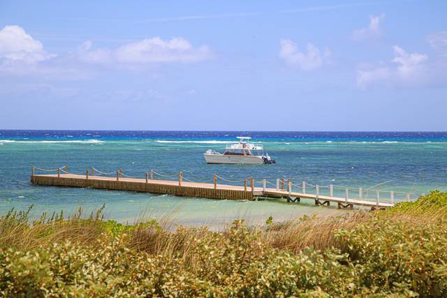Pier venue option