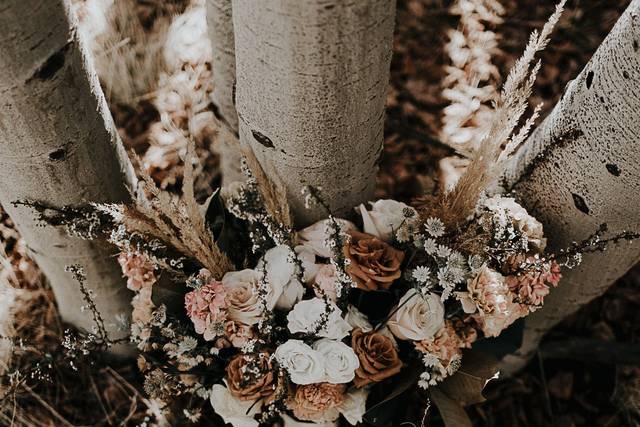 Kylee Patterson Photography