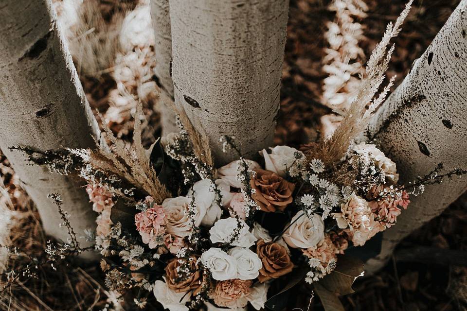Kylee Patterson Photography