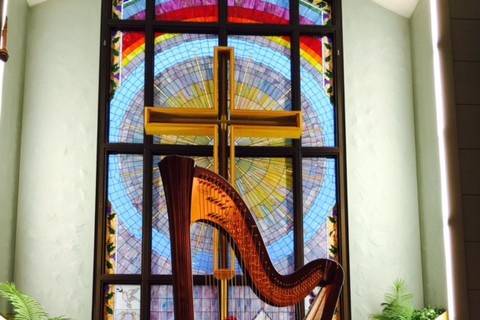 Indoor pedal harp