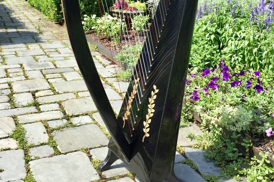Outdoor Celtic Harp