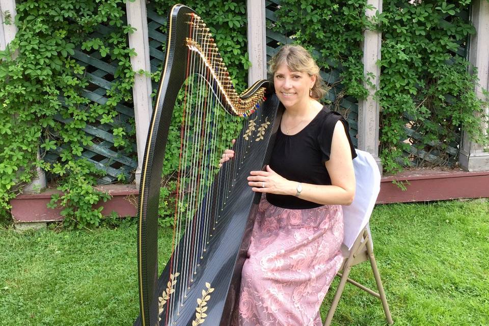 Debbie Vinick, Harpist