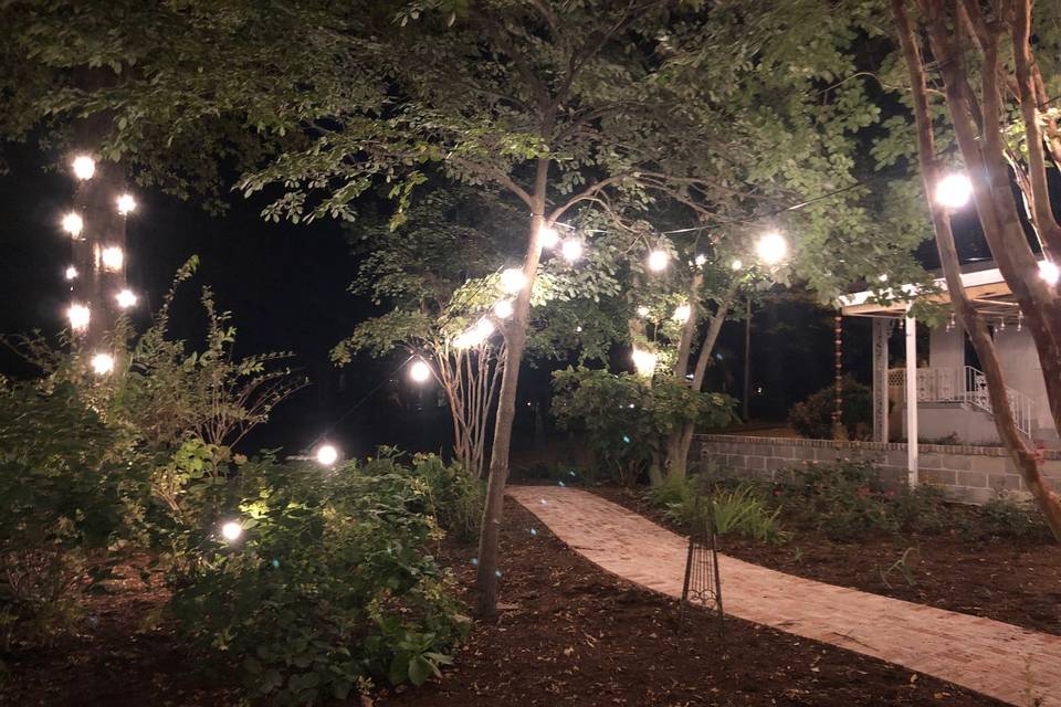 Outdoor Lights