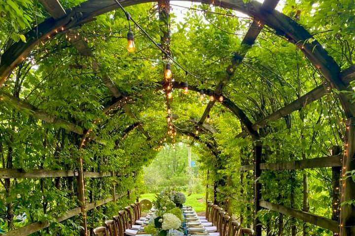 Dinner in the tree tunnel