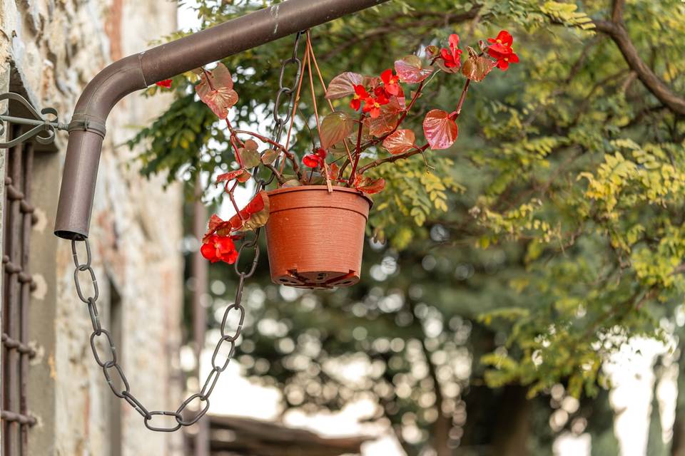 Agriturismo Sottotono