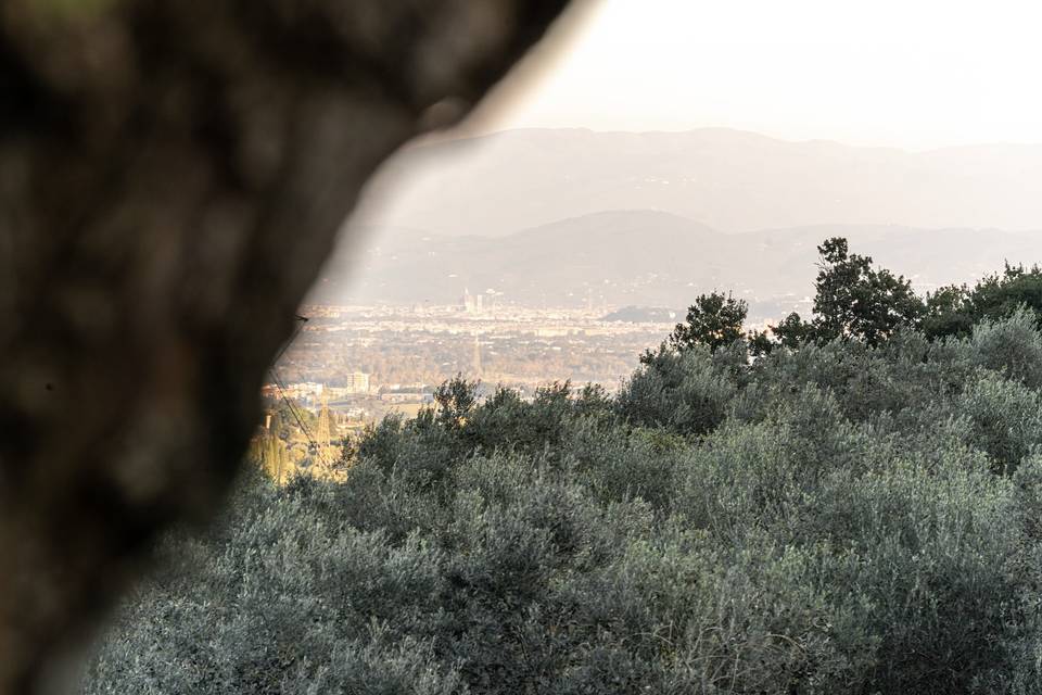 Agriturismo Sottotono