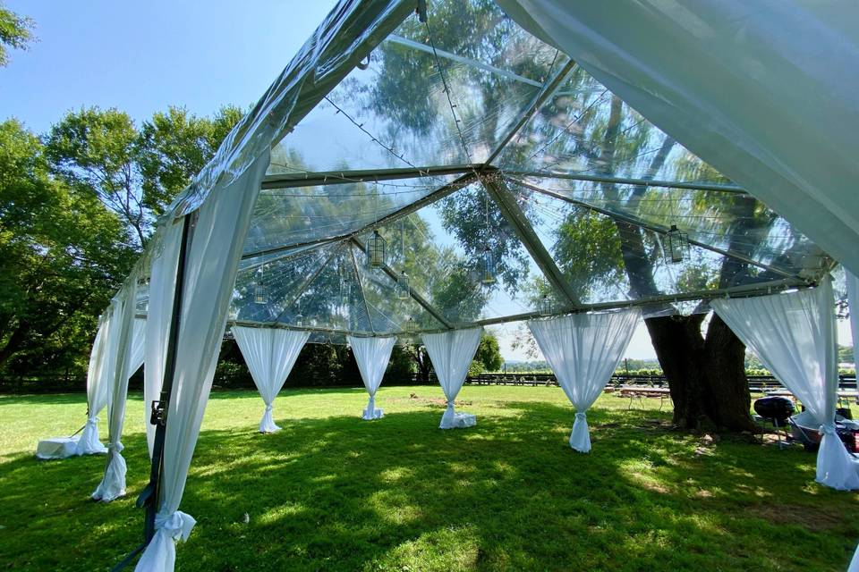 CLEAR TENT, LEG DRAPES, LIGHTS