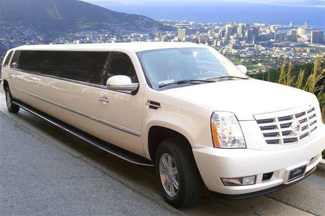 Long white limo