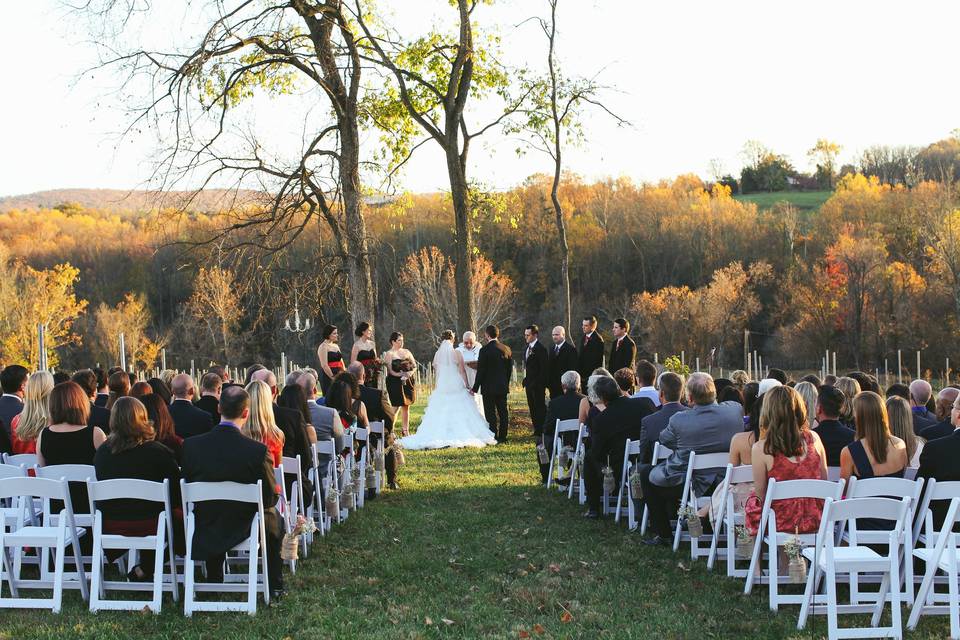 Wedding Ceremony in the Vines