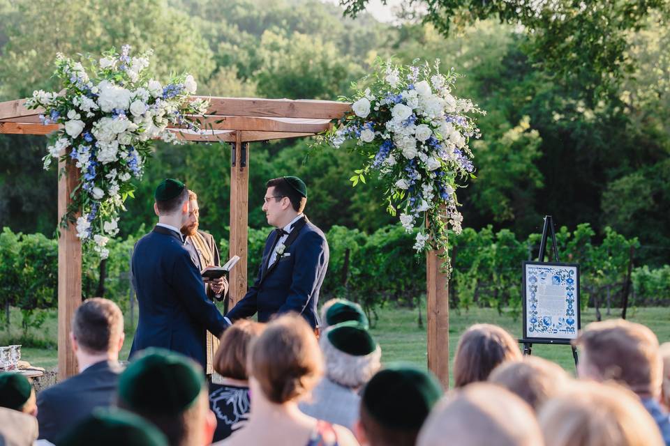 Ceremony in the Vines