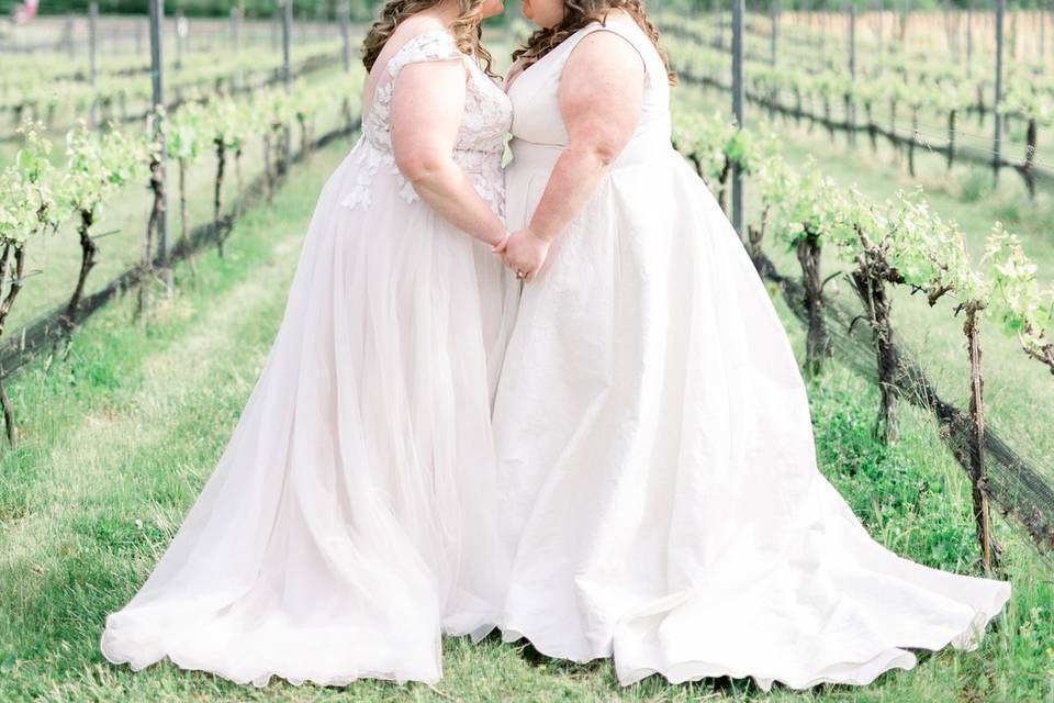 In the Vines