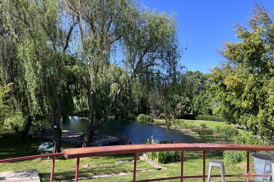 Pond view from cement deck