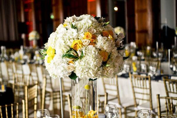 Chic Ambiance Events