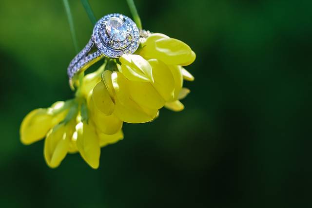 Elite Photography by D'Ann