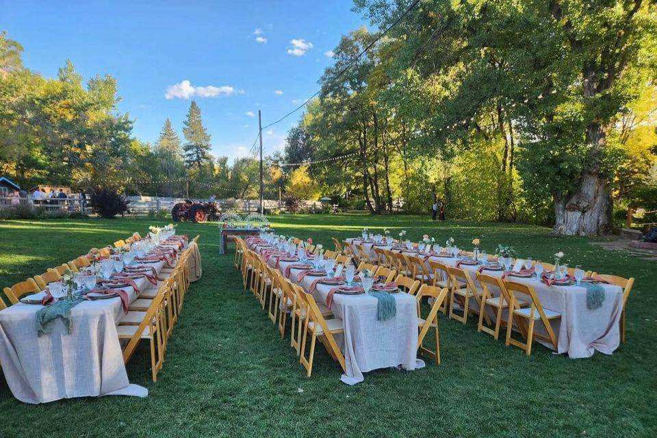 Wedding