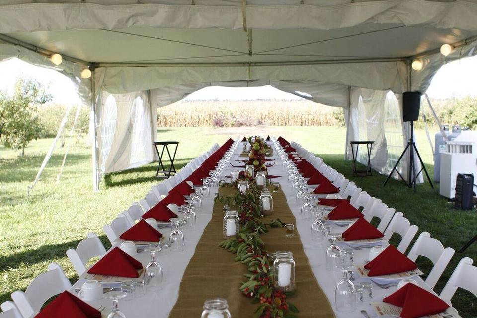 Wedding